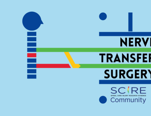 New Article: Nerve Transfer Surgery