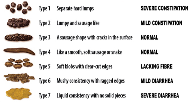 Conservative Bowel Management - SCIRE Professional