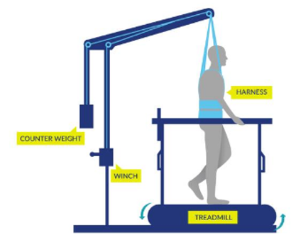 Figure 1. Body-weight supported treadmill training (BWSTT)