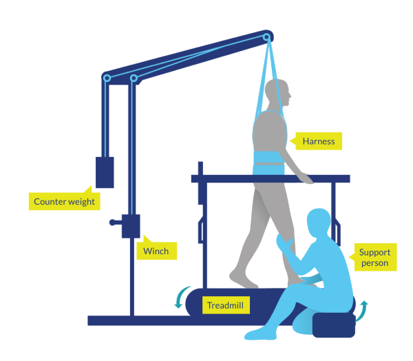 Figure 1. Body-Weight Supported Treadmill Training (BWSTT)